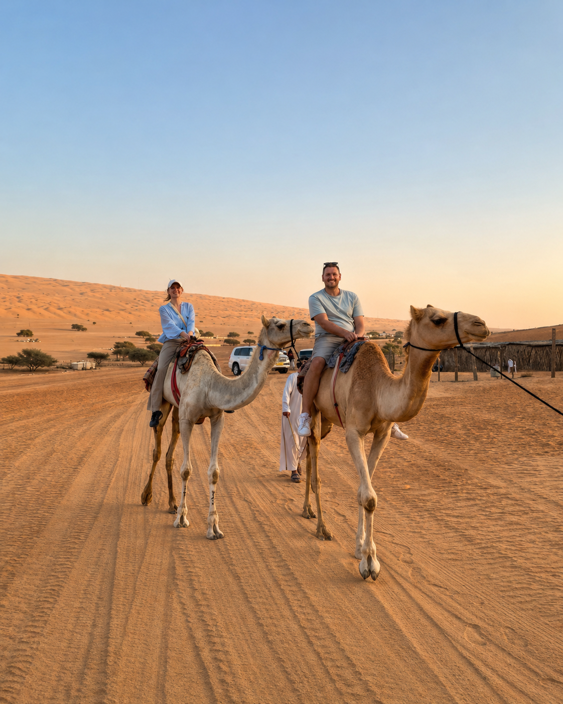 Camel at sunset